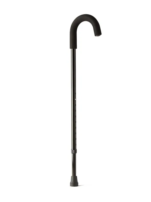 standard cane with coated handled